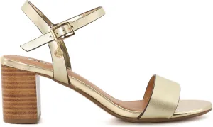 Dune London Women's Jelly Heeled Sandal