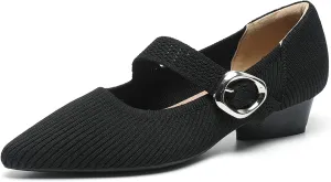 Mary Jane Heels for Women Pumps Shoes Chunky Heel Pointed Toe Low Heel Mesh Comfort Work Dress Shoes